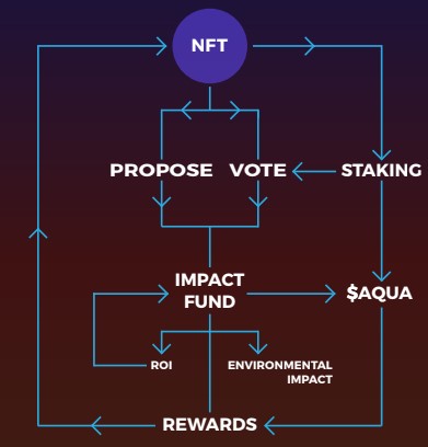 Impact Fund infographic