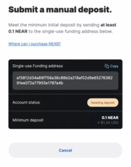 NEAR Wallet manual deposit