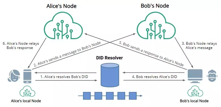 Web5 Network Topology