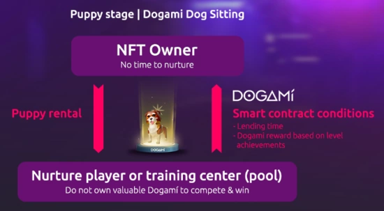 Dogami sitting