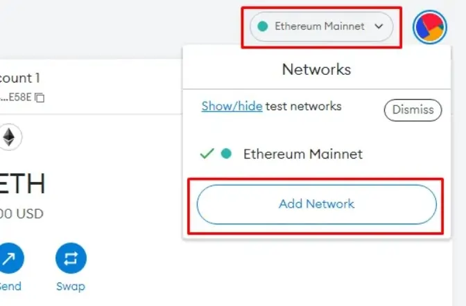Adding a new network on MetaMask