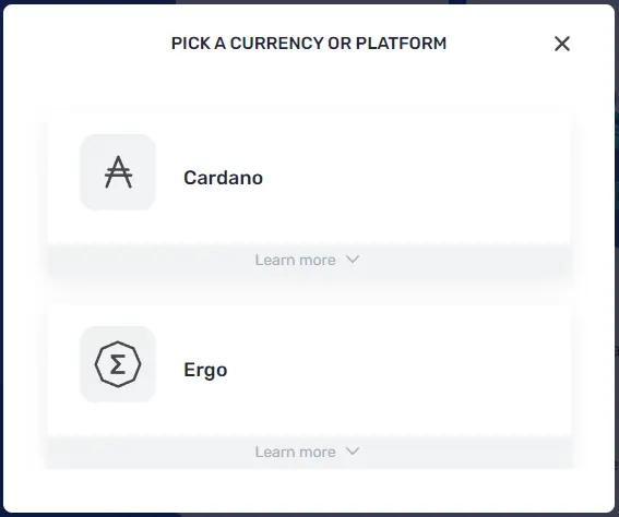 Choosing Between Cardano and Ergo