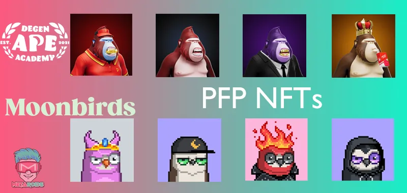 PFP NFT Samples (DAA & Moonbirds)