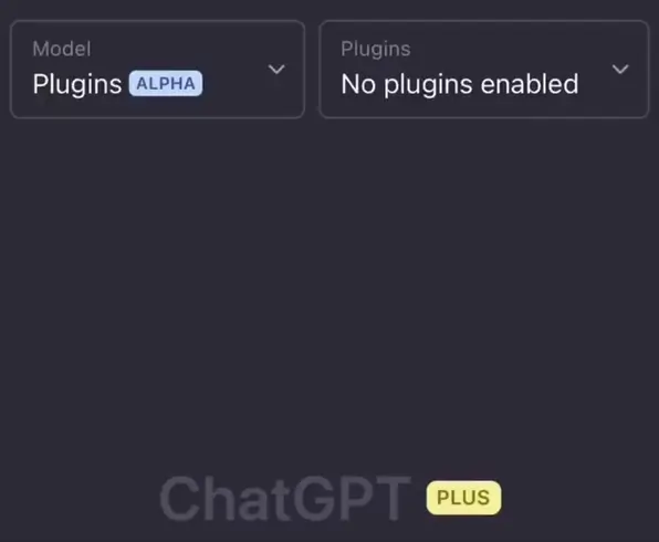 interface of ChatGPT with a plugin