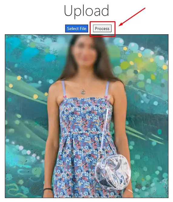 Undresser AI A Tool for Undressing Women in Pictures Metaroids